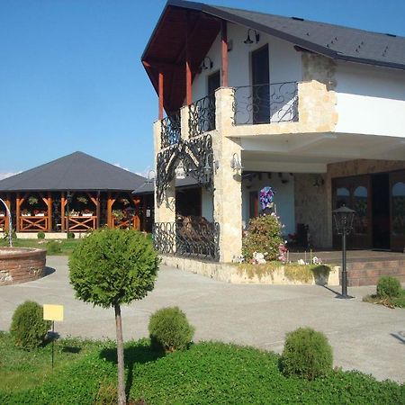 Pension La Taticu Săcălăşeni Εξωτερικό φωτογραφία